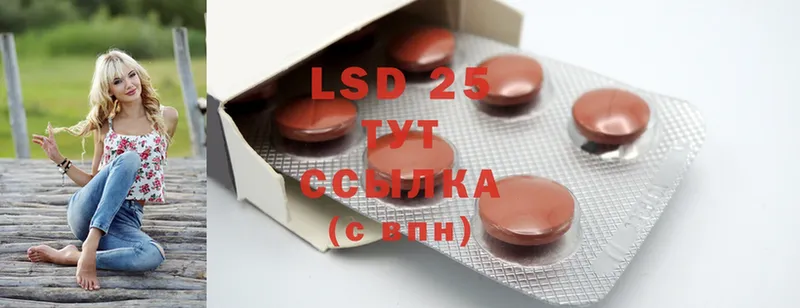 LSD-25 экстази кислота  OMG онион  Новоалександровск 