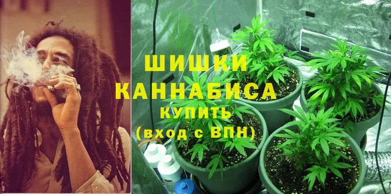 Бошки Шишки OG Kush  Новоалександровск 